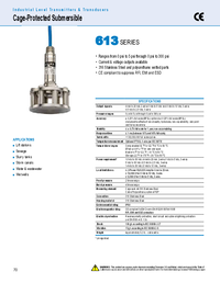 Thumbnail of document Data Sheet - 613 Series Submersible Level Transmitters